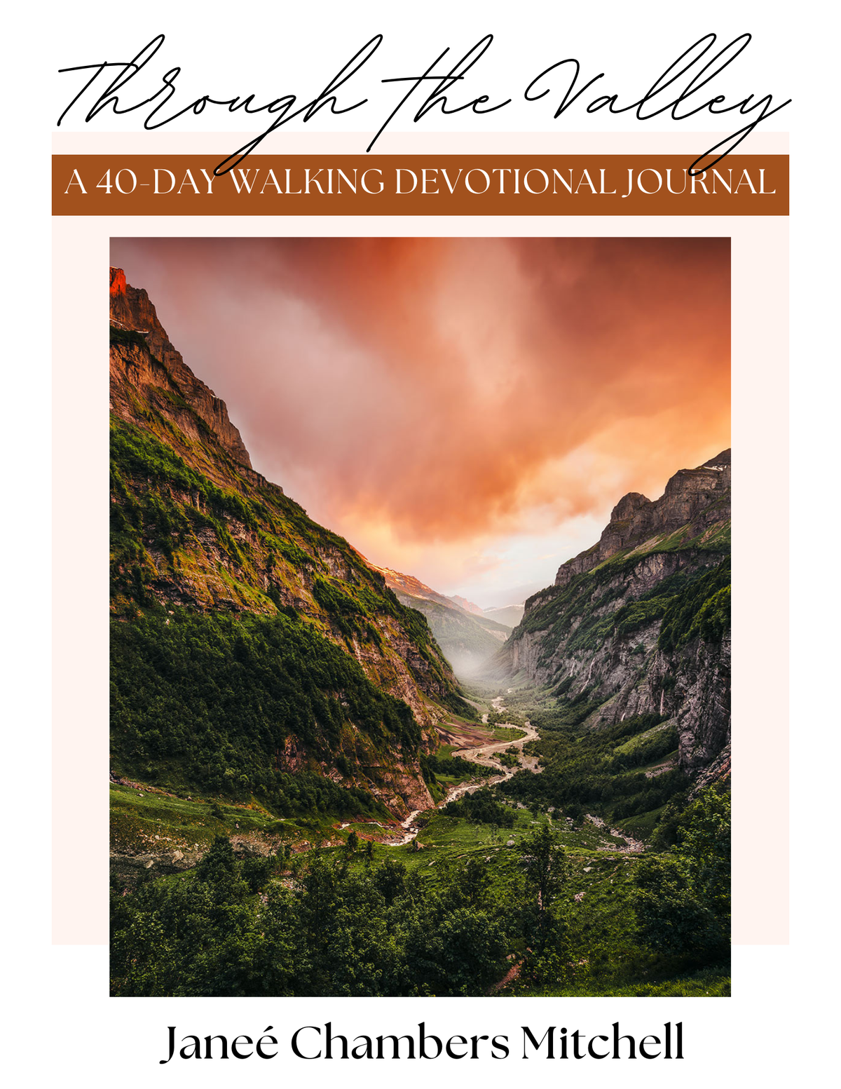 Through the Valley eBook